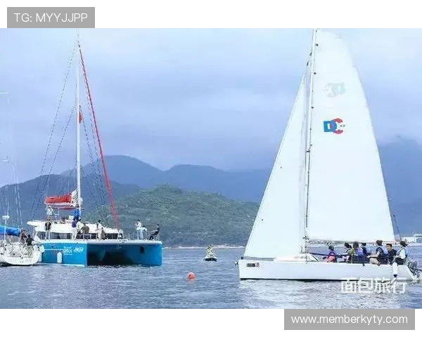 开云体育真人手机版多样化的投注方式，满足不同玩家的投注习惯与偏好