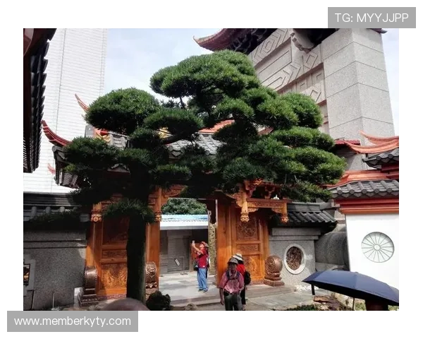 开云真人：探索高端娱乐体验的极致之旅
