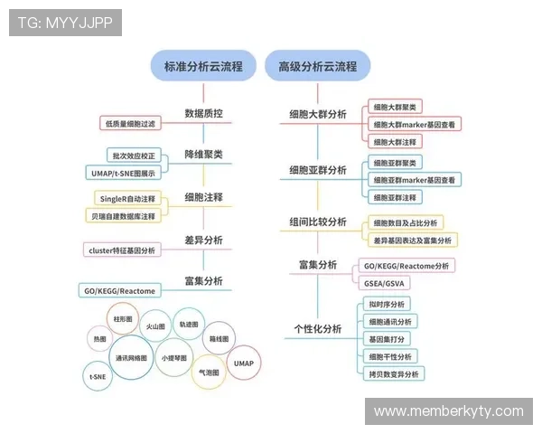 云开登录下载常见问题及解决方案全面解析用户在登录下载过程中遇到的常见问题及应对策略