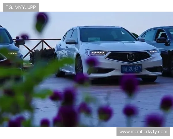 开运体育手机版会员登录流程优化助你轻松注册畅享运动乐趣