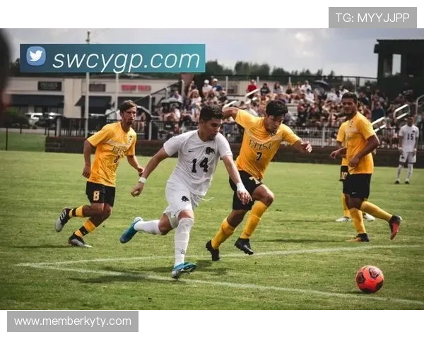 开云体育手机娱乐：结合最新技术提供高清直播和沉浸式娱乐体验，满足用户高品质需求