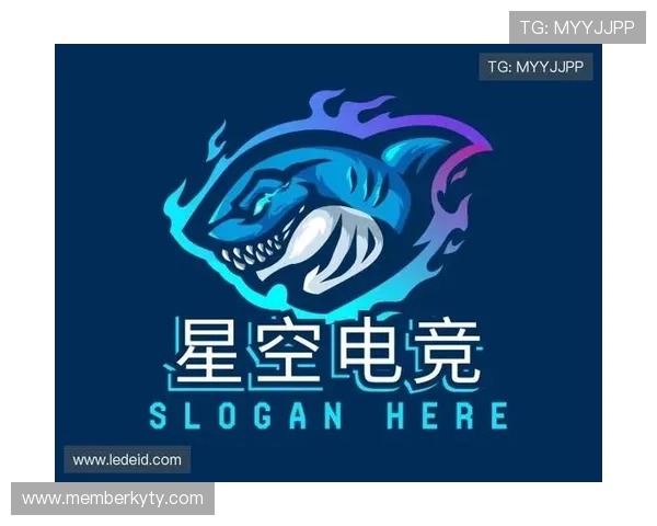 星空电竞平台的安全保障措施与用户隐私保护策略详尽分析 星空电竞平台的安全保障措施与用户隐私保护策略详尽分析