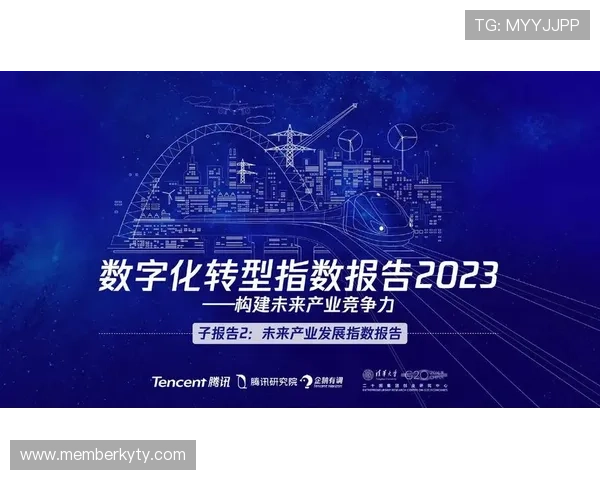 开云集团品牌在数字化转型中的创新举措与未来发展方向探讨